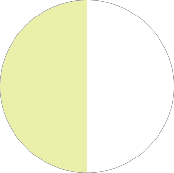 Neon Yellow White 